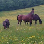 Landhaus Bed & Breakfast Cascina Cin Cin *