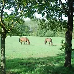 Bed & Breakfast Cascina Cin Cin Landhaus *
