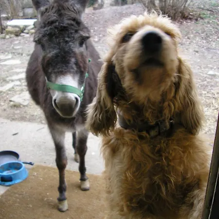 Venkovský dům Bed & Breakfast Cascina Cin Cin Novi Ligure