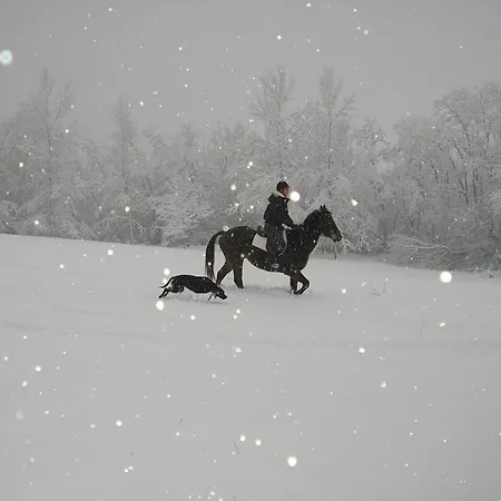Bed & Breakfast Cascina Cin Cin Venkovský dům