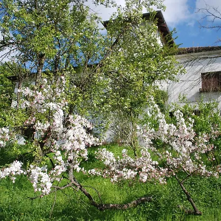 Landhaus Bed & Breakfast Cascina Cin Cin