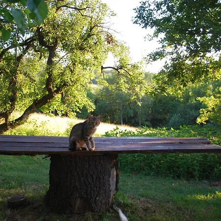 Venkovský dům Bed & Breakfast Cascina Cin Cin *