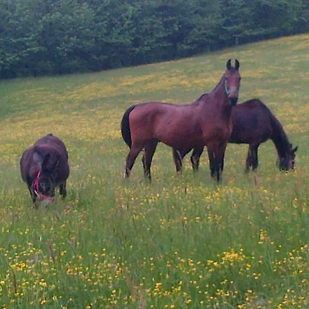 Venkovský dům Bed & Breakfast Cascina Cin Cin *