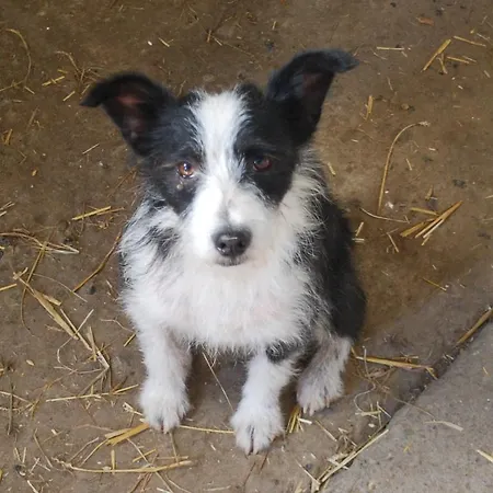 Venkovský dům Bed & Breakfast Cascina Cin Cin