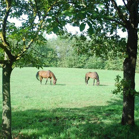Bed & Breakfast Cascina Cin Cin Venkovský dům *